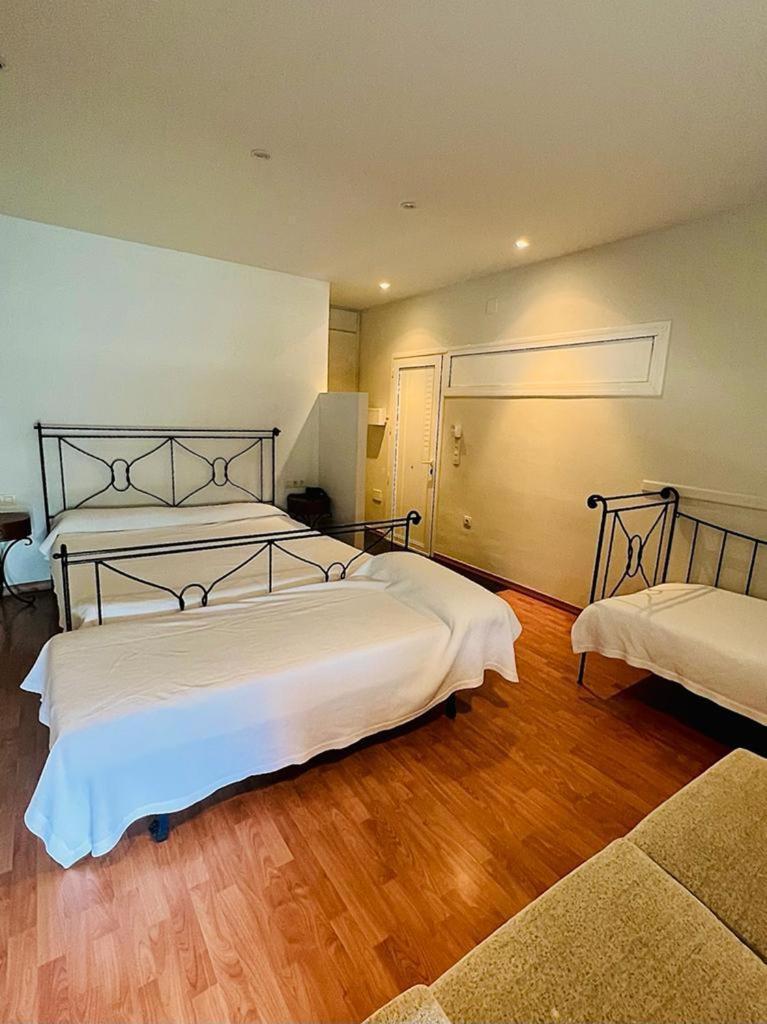 Hotel & Restaurant Figueres Parc 埃尔斯-霍斯塔雷斯 外观 照片