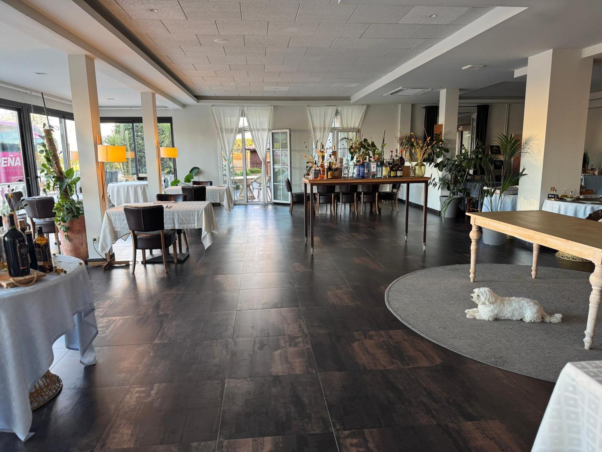 Hotel & Restaurant Figueres Parc 埃尔斯-霍斯塔雷斯 外观 照片