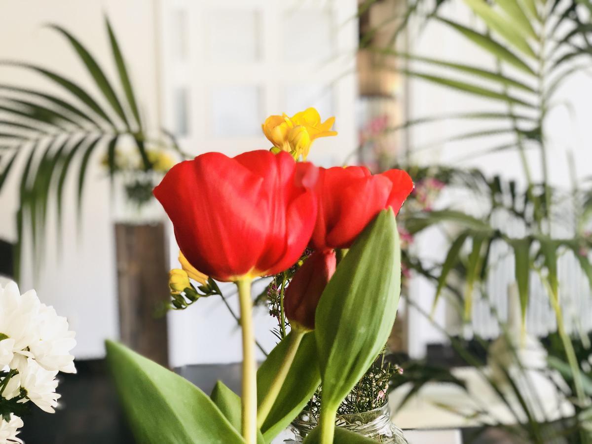 Hotel & Restaurant Figueres Parc 埃尔斯-霍斯塔雷斯 外观 照片