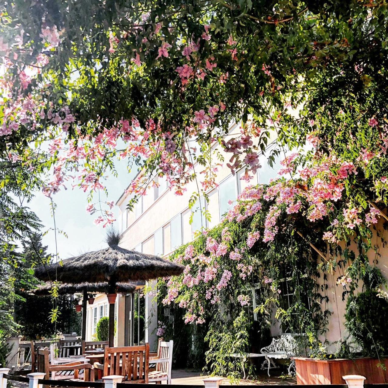 Hotel & Restaurant Figueres Parc 埃尔斯-霍斯塔雷斯 外观 照片